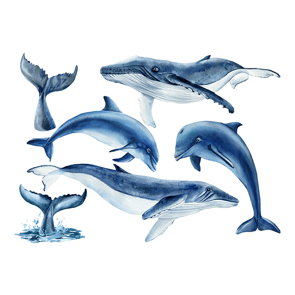 Vinilos Infantiles: Ballenas y Delfines