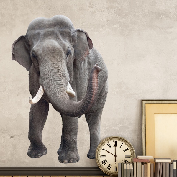 Vinilos Decorativos: Elefante de frente