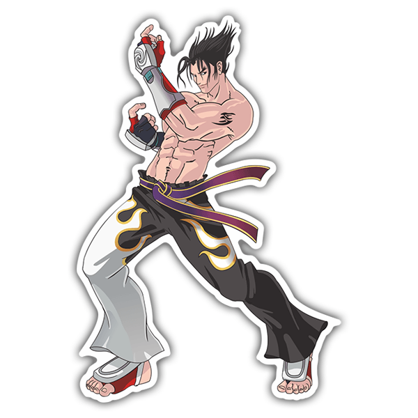 Pegatinas: Jin Kazama - Tekken