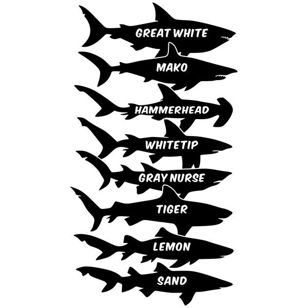 Vinilos Decorativos: Tiburones nombres inglés
