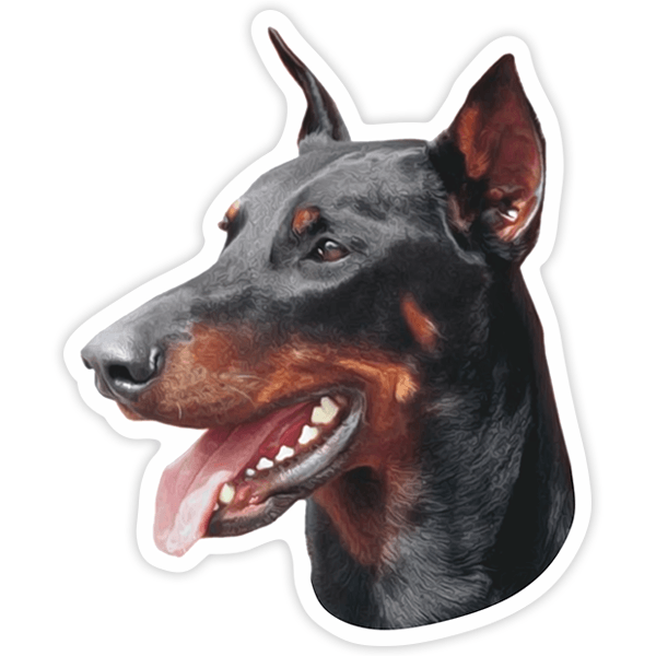 Pegatinas: Doberman Pinscher