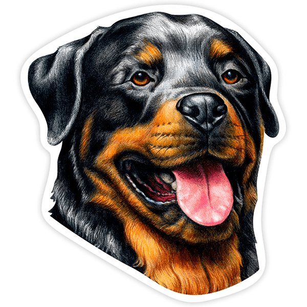 Pegatinas: Rottweiler