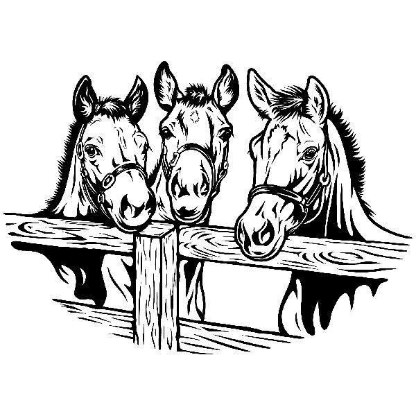 Vinilos Decorativos: Tres caballos
