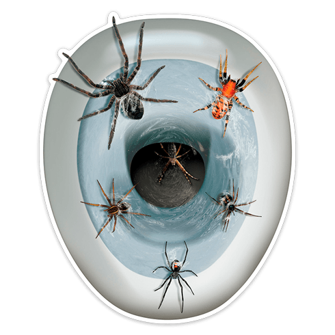 Vinilos Decorativos: Arañas saliendo de la taza del wáter