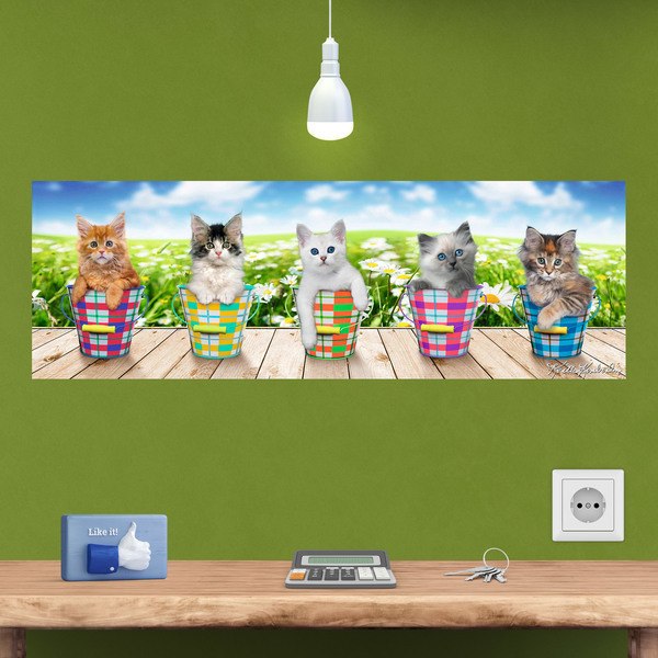 Vinilos Decorativos: Poster adhesivo de 5 gatitos
