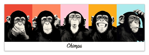 Vinilos Decorativos: Poster adhesivo de 5 Chimpancés