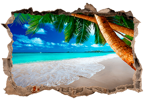 Vinilos Decorativos: Agujero Palmera en la playa 1