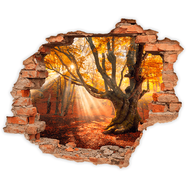 Vinilos Decorativos: Agujero Roble en otoño
