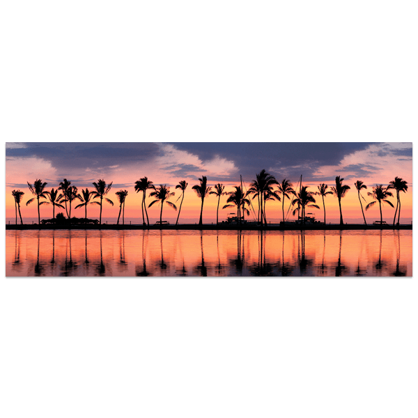 Vinilos Decorativos: Palmeras al atardecer