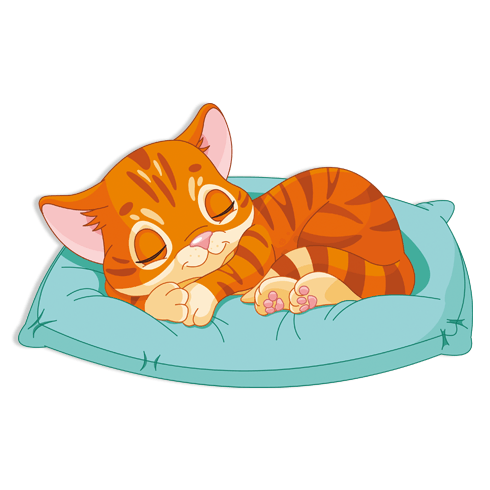 Vinilos Infantiles: Gato durmiendo