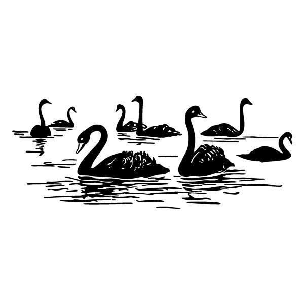 Vinilos Decorativos: Cisnes en el Lago