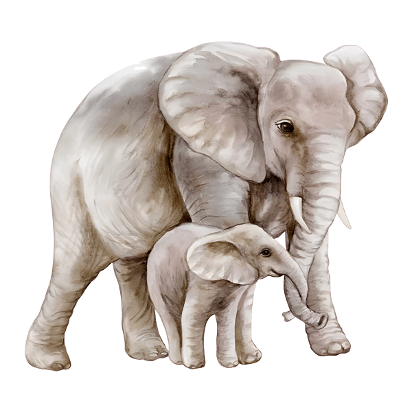 Vinilos Infantiles: Elefante con su cría