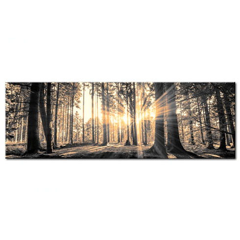 Otros productos: El sol en el bosque