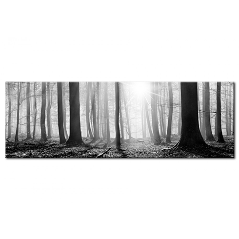 Otros productos: Bosque en blanco y negro