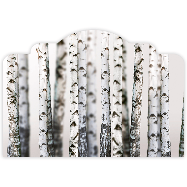 Vinilos Decorativos: Cabecero Bosque de abedul