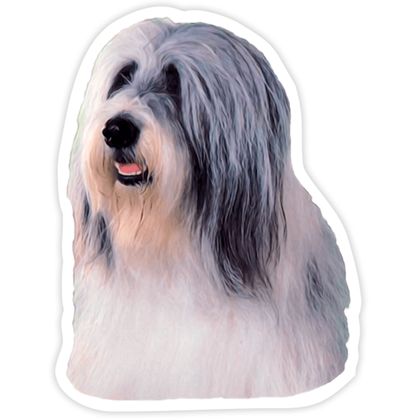 Pegatinas: Bearded Collie