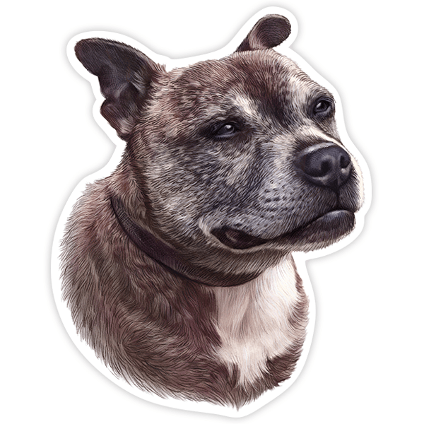 Pegatinas: Staffordshire Bull Terrier