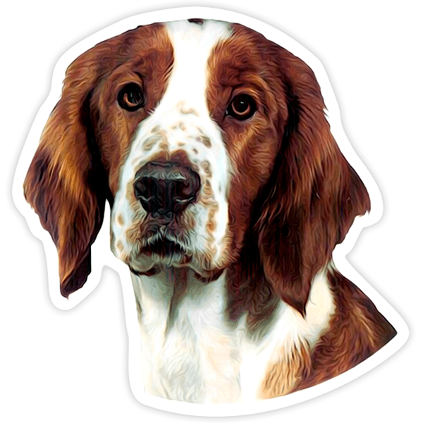Pegatinas: Springer