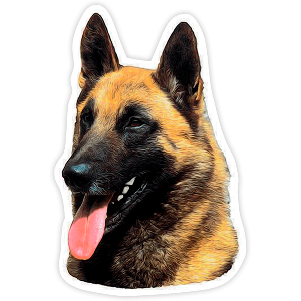 Pegatinas: Pastor belga malinois