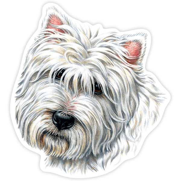 Pegatinas: West Highland Terrier