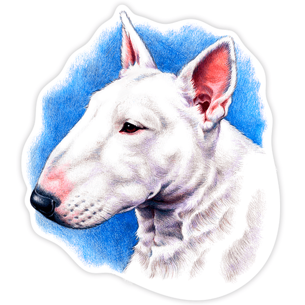 Pegatinas: Bull Terrier