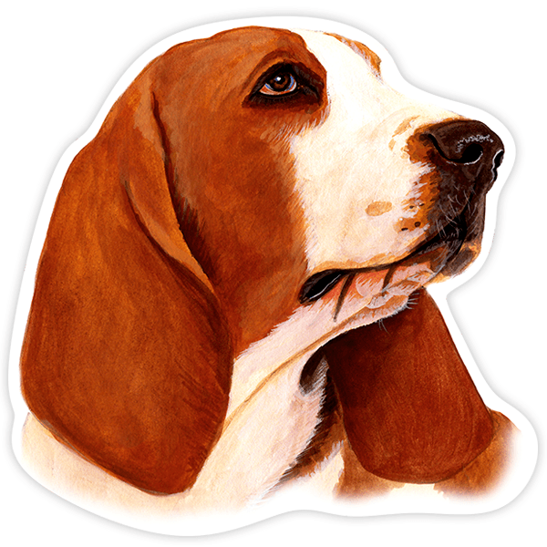 Pegatinas: Basset Hound