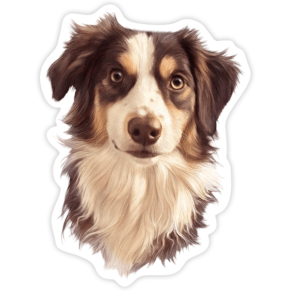 Pegatinas: Border Collie