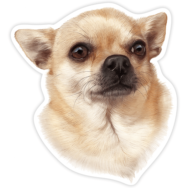 Pegatinas: Chihuahua
