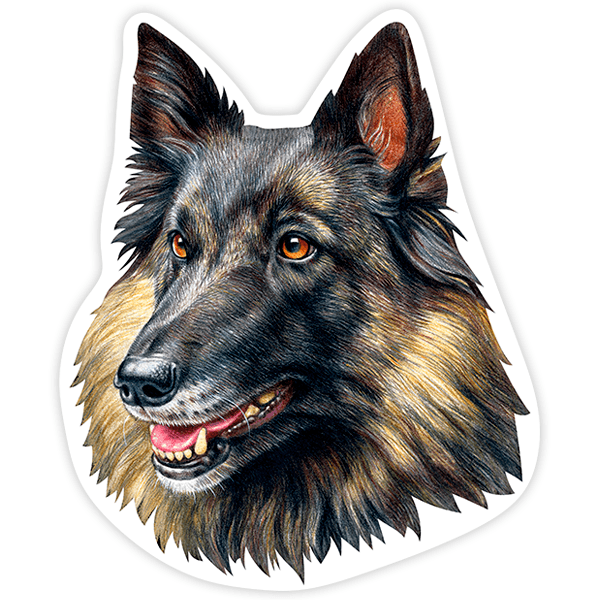 Pegatinas: Belgian Tervuren