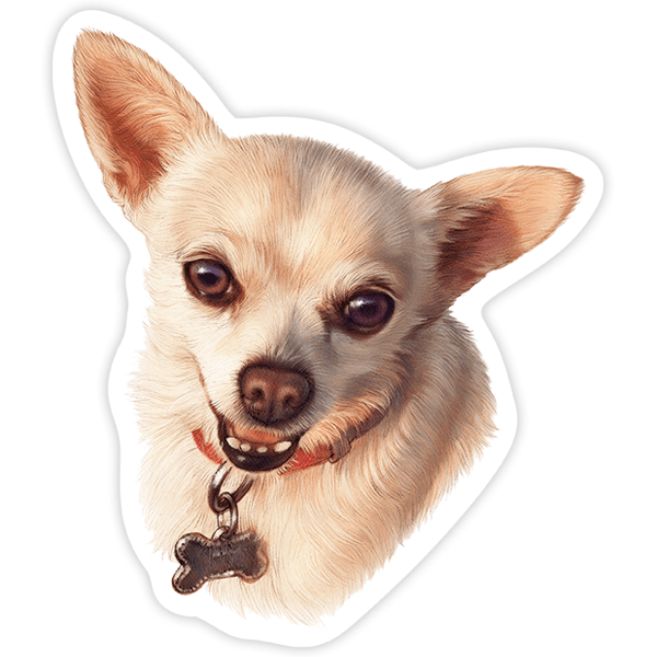 Pegatinas: Chihuahua blanco