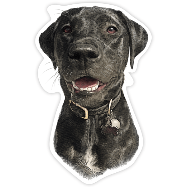Pegatinas: Labrador negro