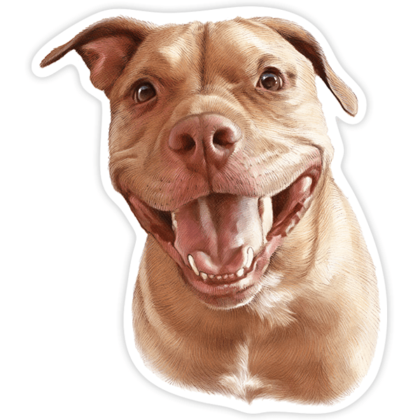 Pegatinas: Pit Bull Terrier