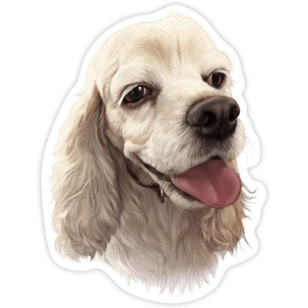 Pegatinas: Cocker Spaniel americano