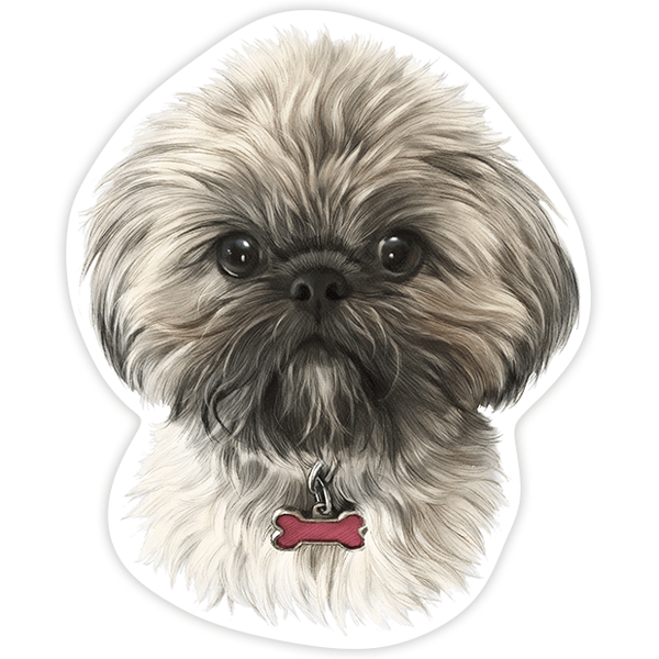Pegatinas: Shih Tzu
