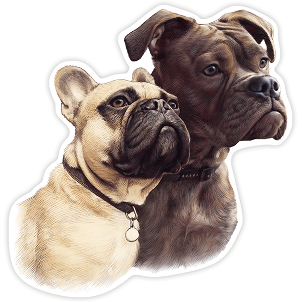 Pegatinas: Pareja de Bulldogs Francés