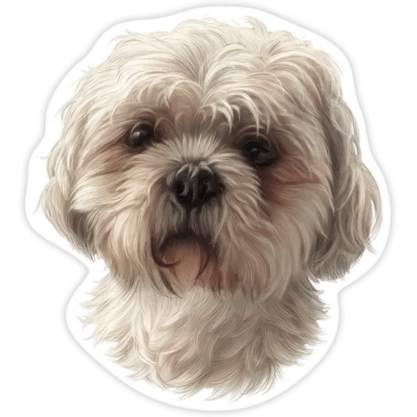Pegatinas: Maltipoo