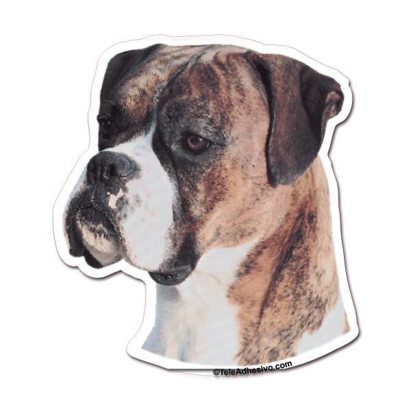 Pegatinas: Brindle Boxer
