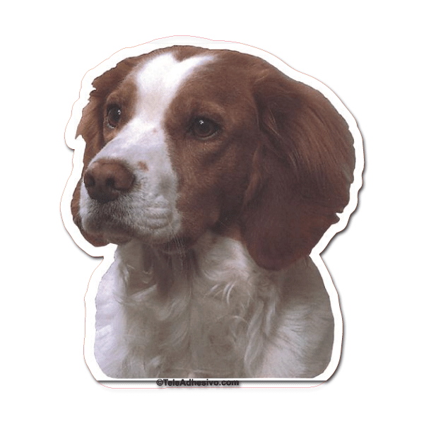 Pegatinas: Brittany