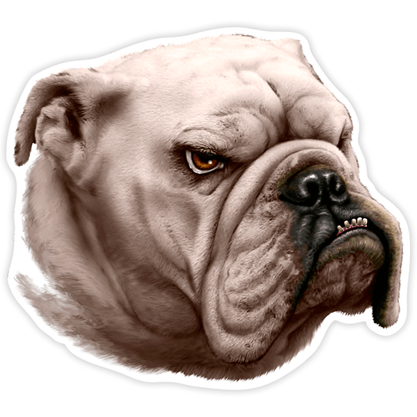 Pegatinas: Bulldog