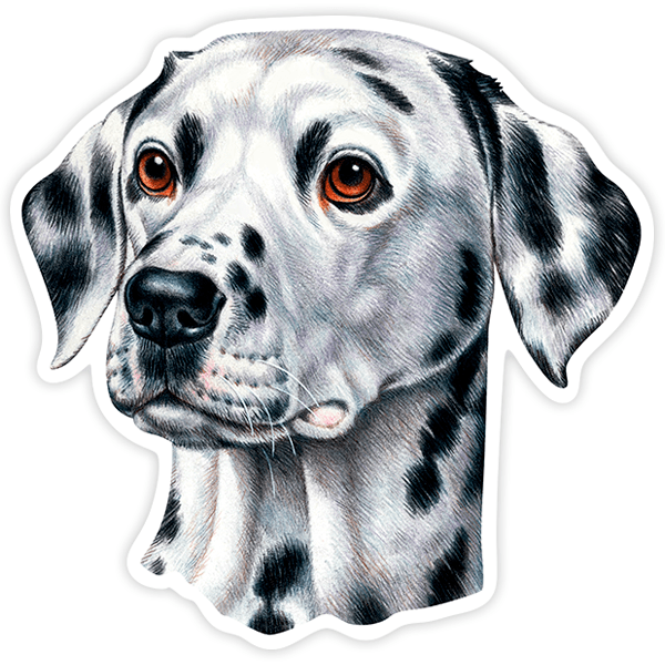 Pegatinas: Dalmatian