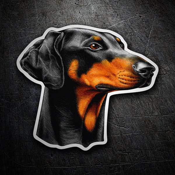 Pegatinas: Doberman