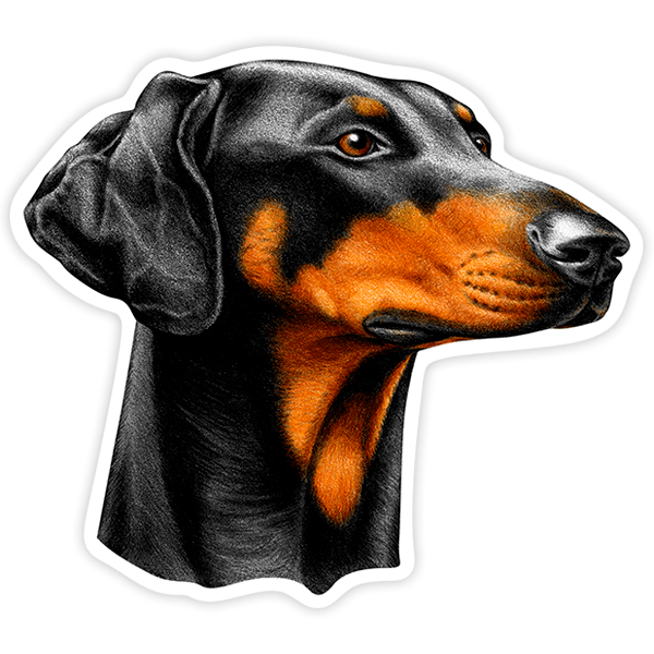 Pegatinas: Doberman
