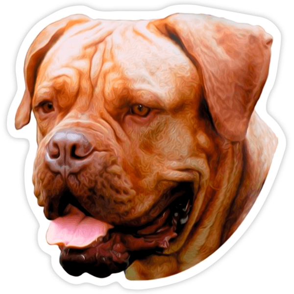 Pegatinas: Dogue De Bordeaux