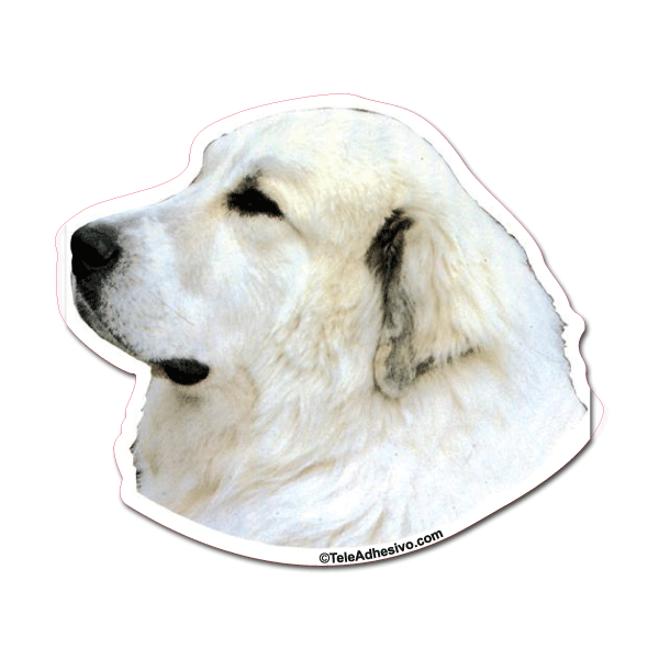 Pegatinas: Great Pyrenees