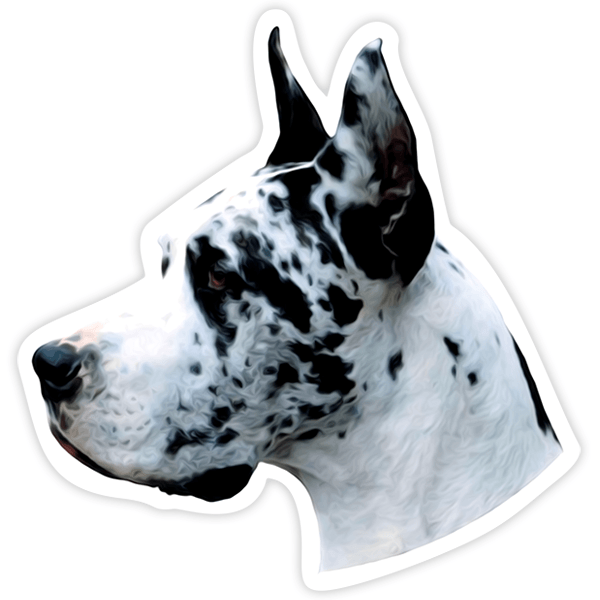Pegatinas: Harlequin Great Dane