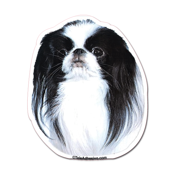 Pegatinas: Japanese Chin