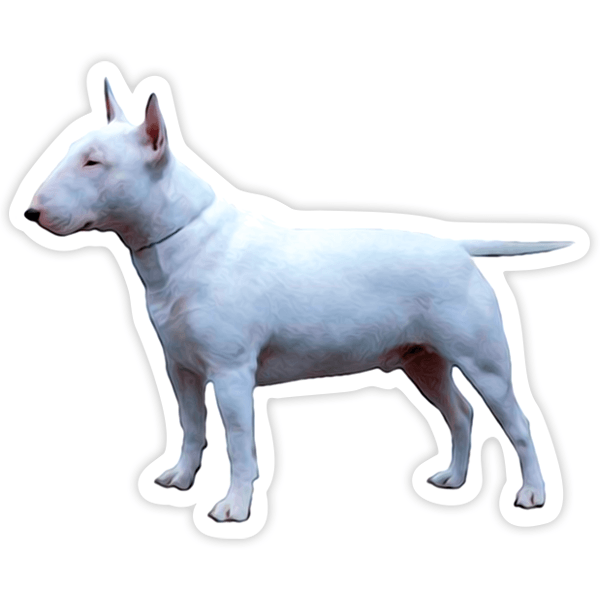 Pegatinas: Mini Bull Terrier