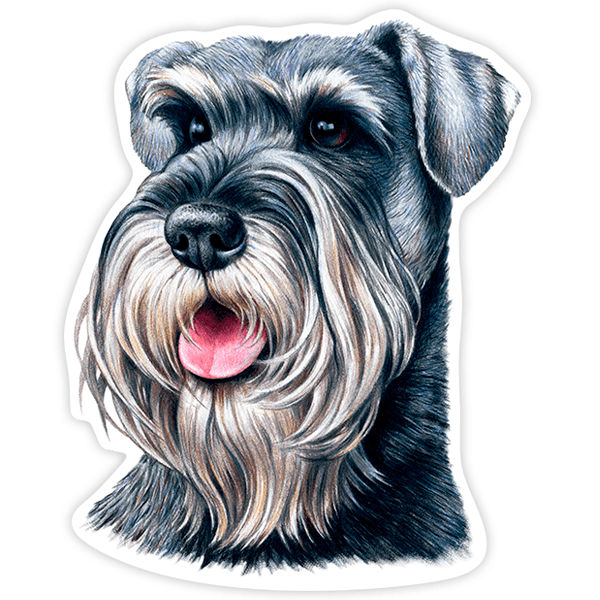 Pegatinas: Miniature Schnauzer