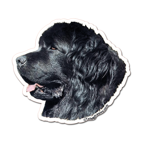 Pegatinas: Newfoundland