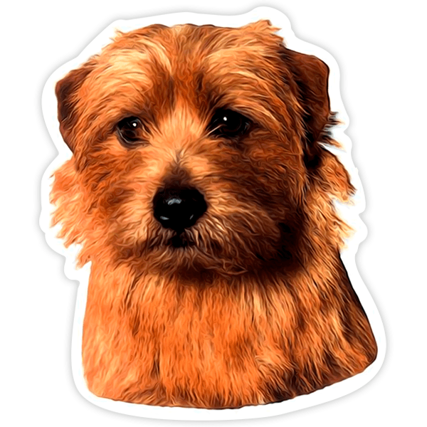 Pegatinas: Norfolk Terrier